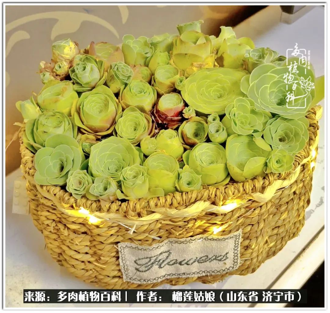 繁花似锦觅安宁淡如流水度一生,繁花似锦觅安宁淡云流水度人生