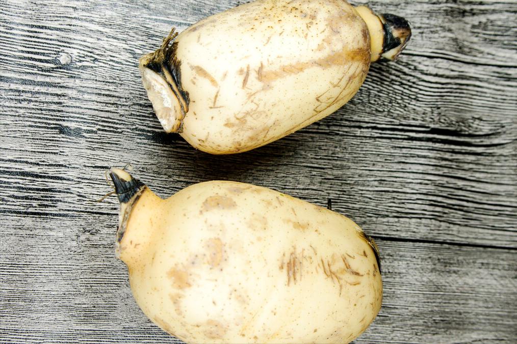 煮莲藕汤不发黑的方法,莲藕汤浓白不发黑