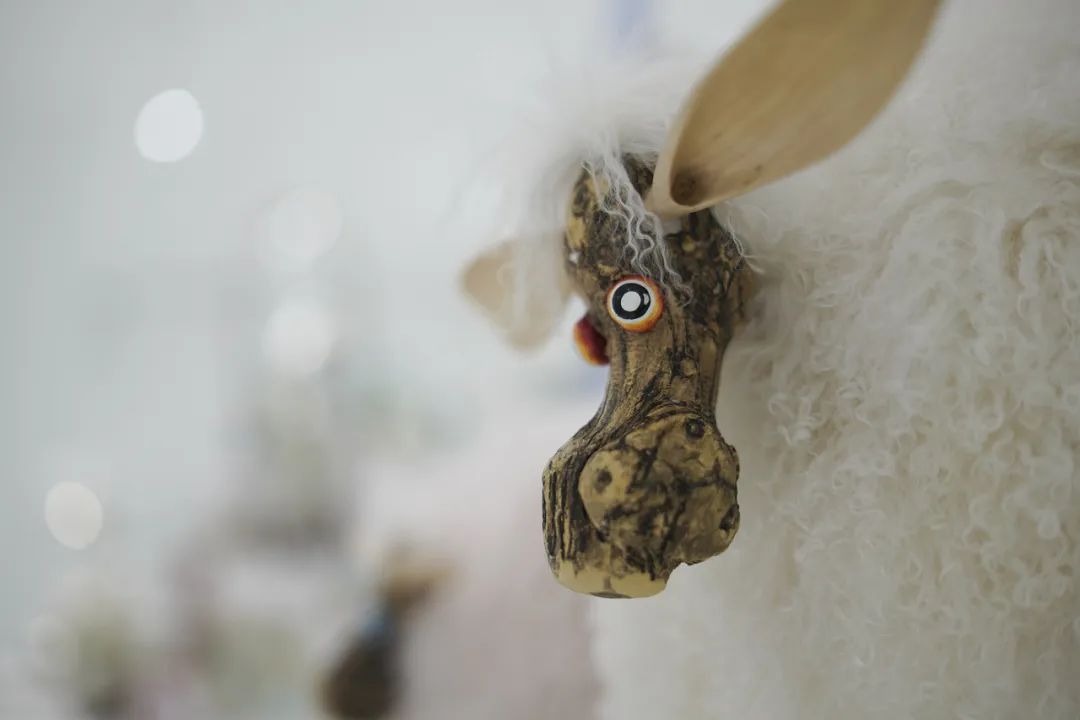 森养af35mmf18fe开箱体验,森养50mmf1.4二代锐度