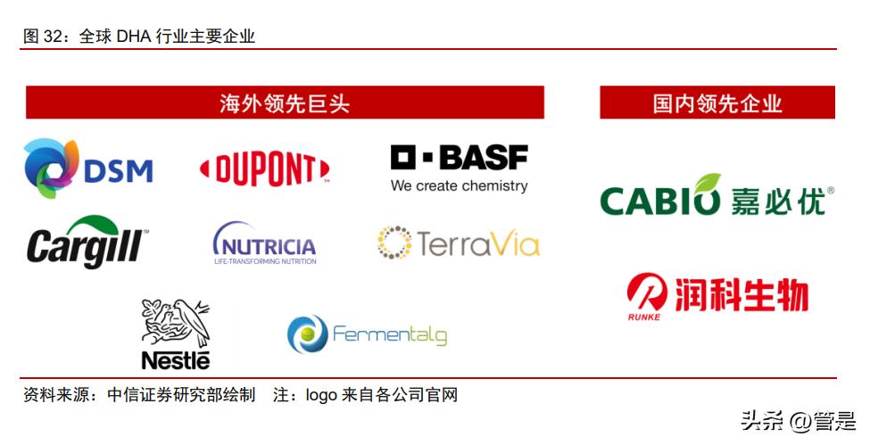 嘉必优2022年一季报分析,嘉必优会成为牛股吗