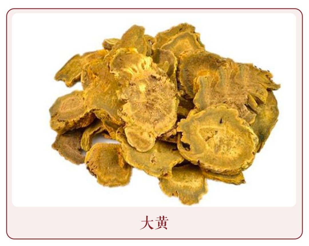 清热解毒祛疖肿的中药,疖痈中医治疗方剂