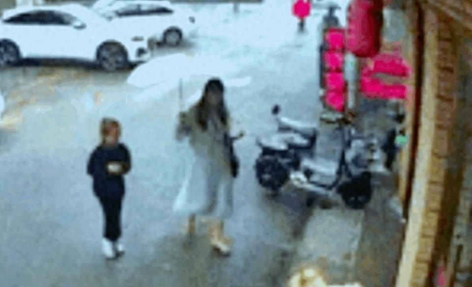 狗咬女人的事件原因,狗咬女孩子事件