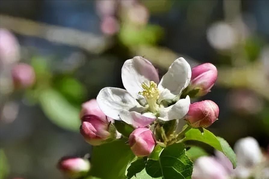 期货资金管理案例,期货资金管理的策略与应用