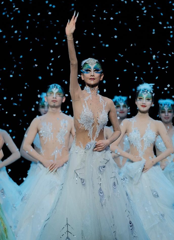 杨丽萍孔雀舞备受争议,杨丽萍舞蹈争议