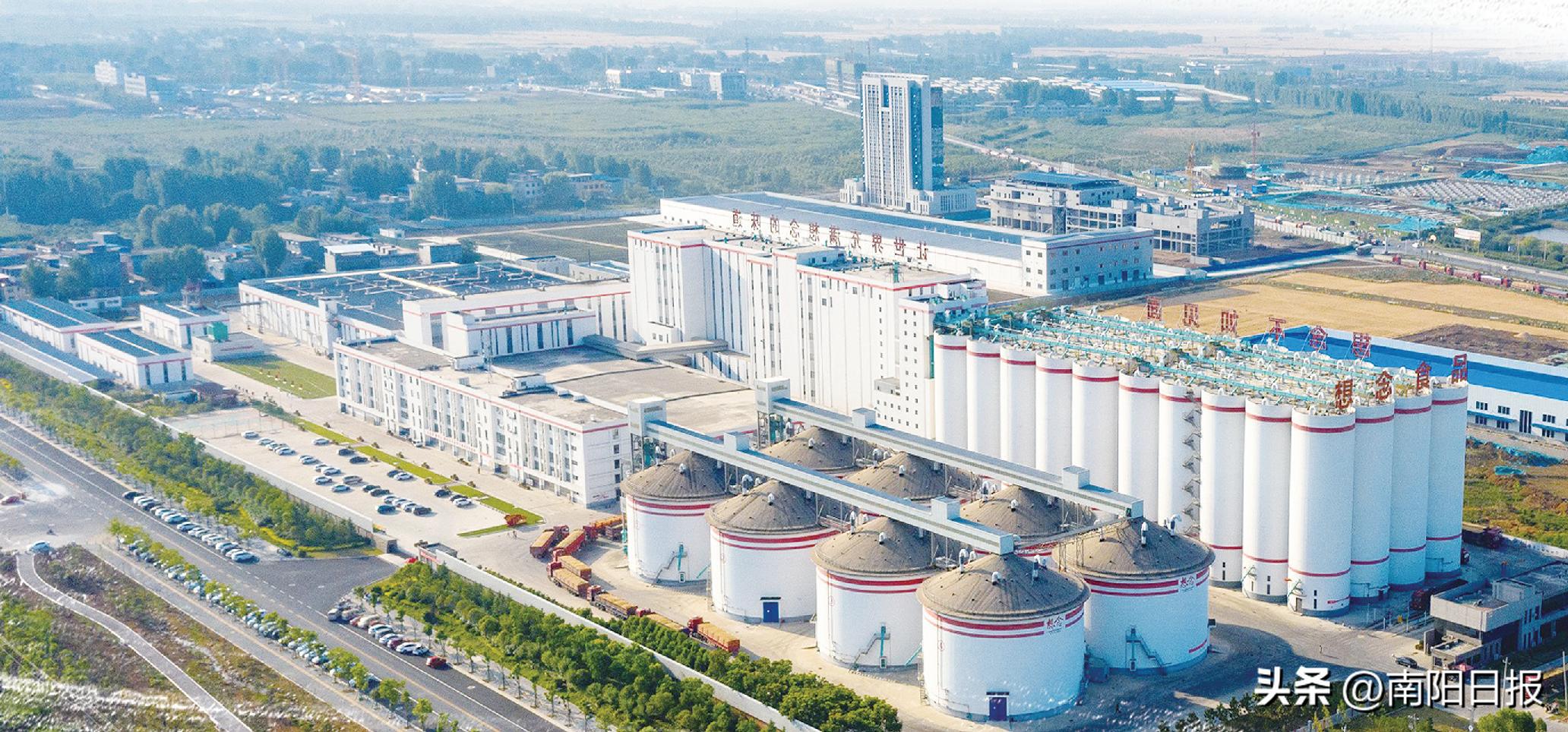 南阳经济发展形势,经济复苏前瞻