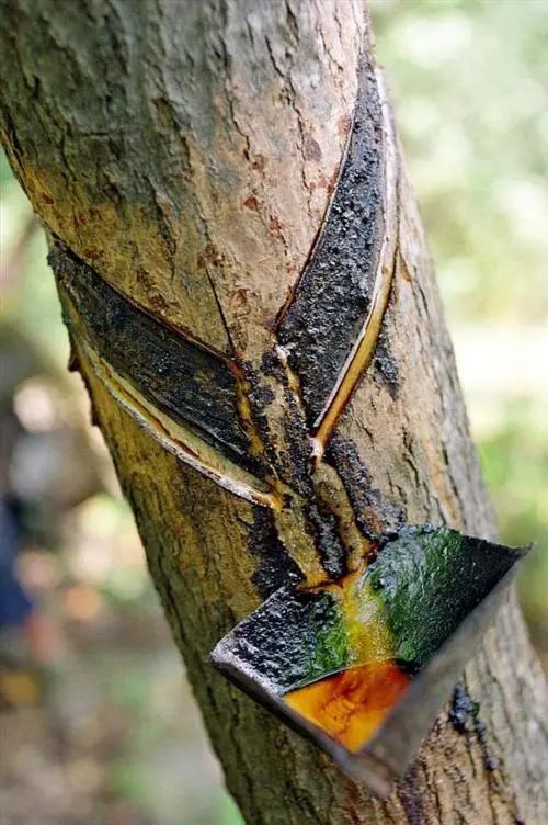 贾平凹自在独行越活越好,贾平凹日子过得才有意义