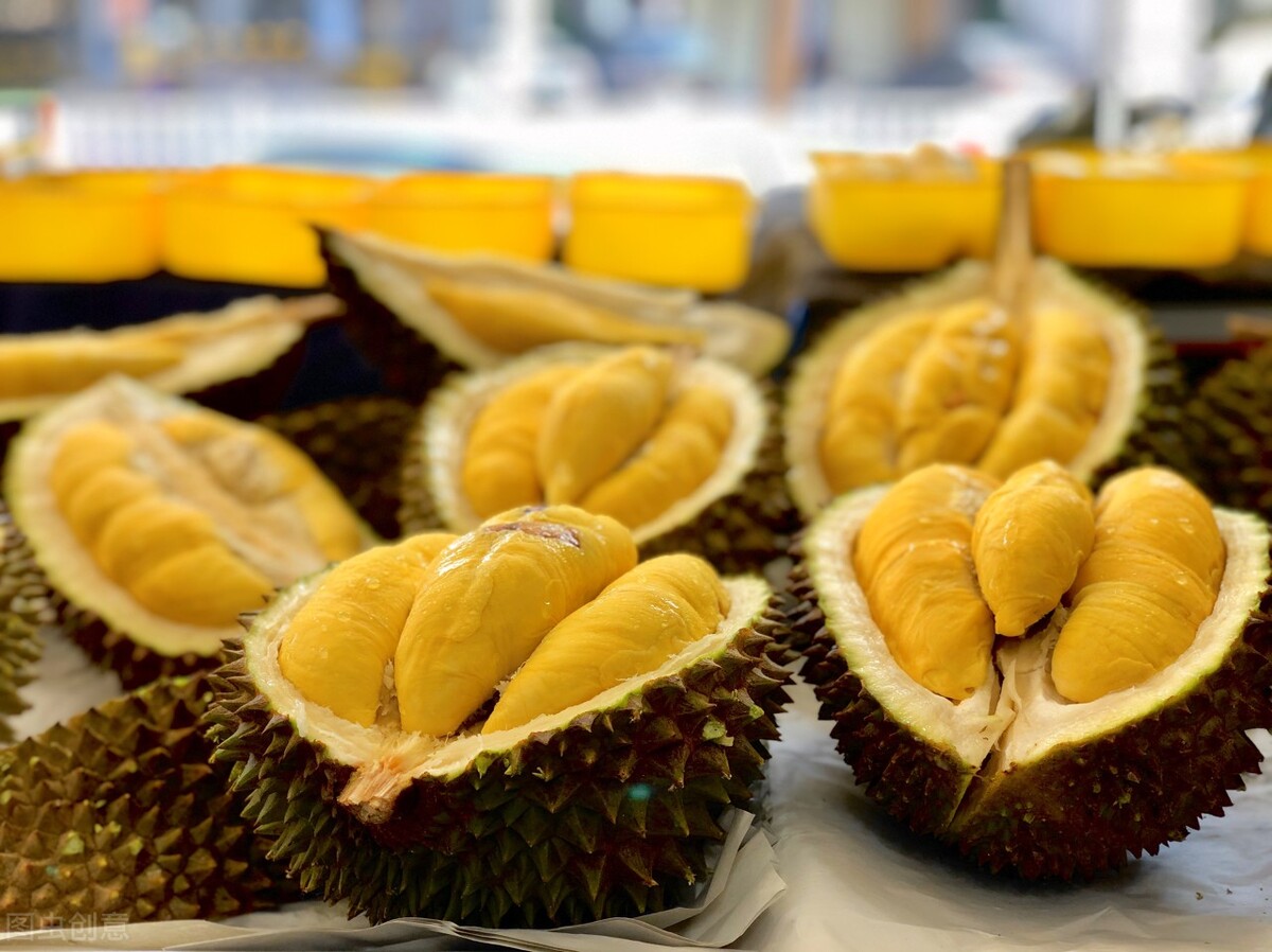 金枕榴莲和猫王图片,托曼尼榴莲和猫山王榴莲的区别