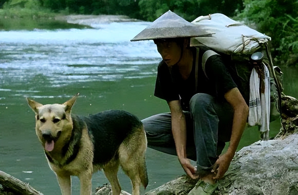 嗑着瓜子领了华表奖，走出谢娜的阴影，这一次刘烨没有遗憾了！