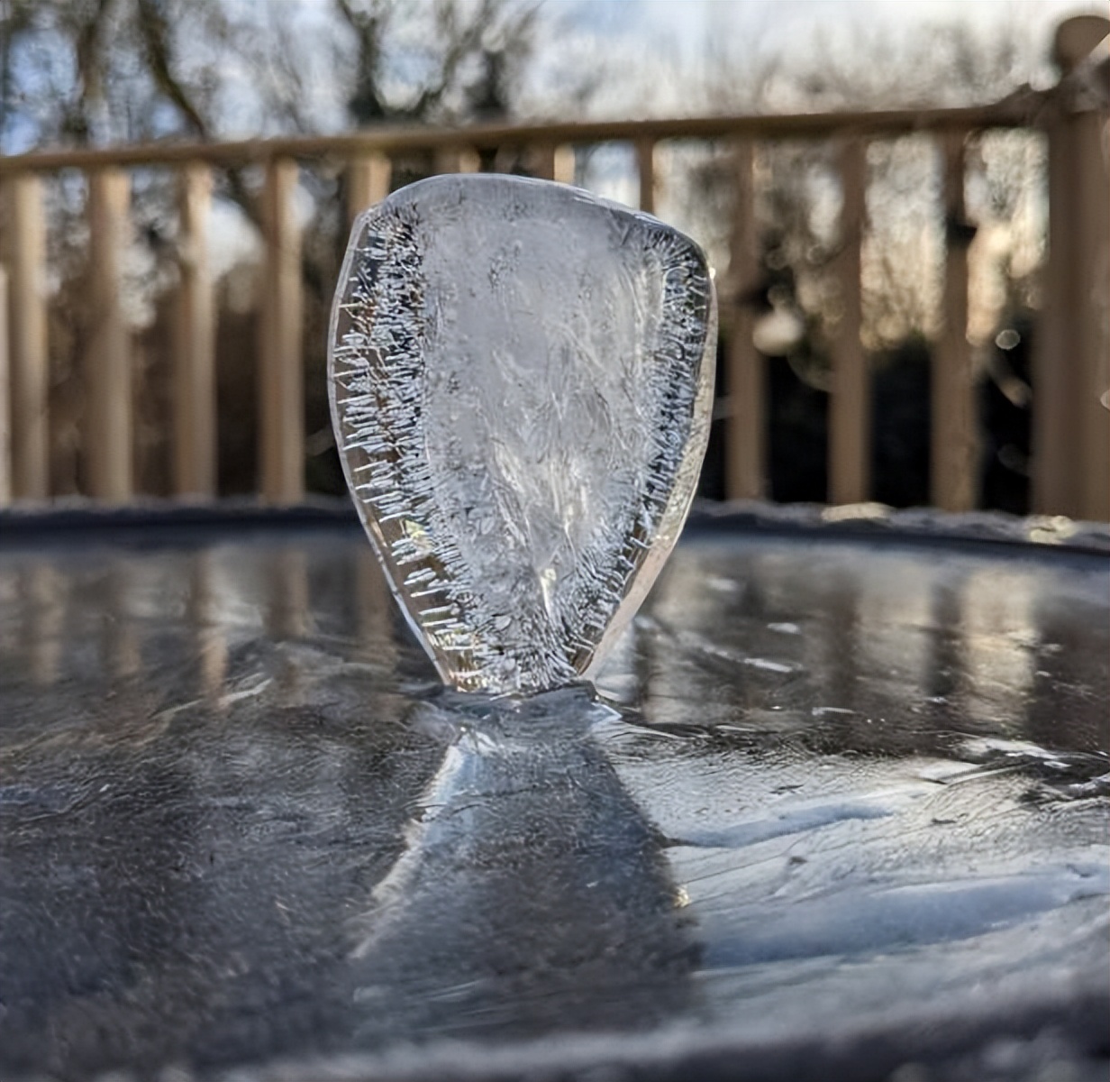 美丽的大自然的作文,美丽的大自然现代诗