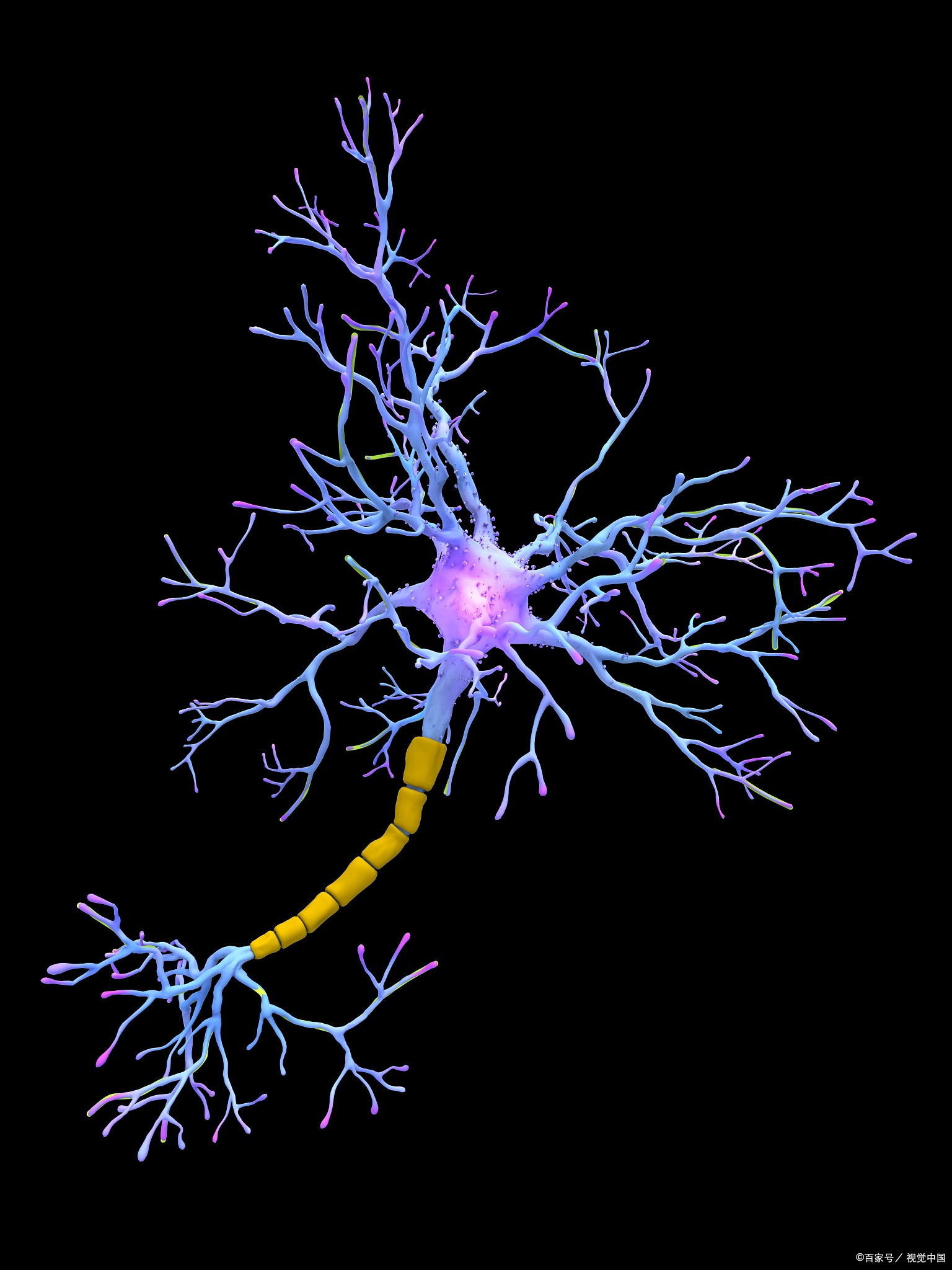 大脑记忆存储原理,大脑存储记忆原理