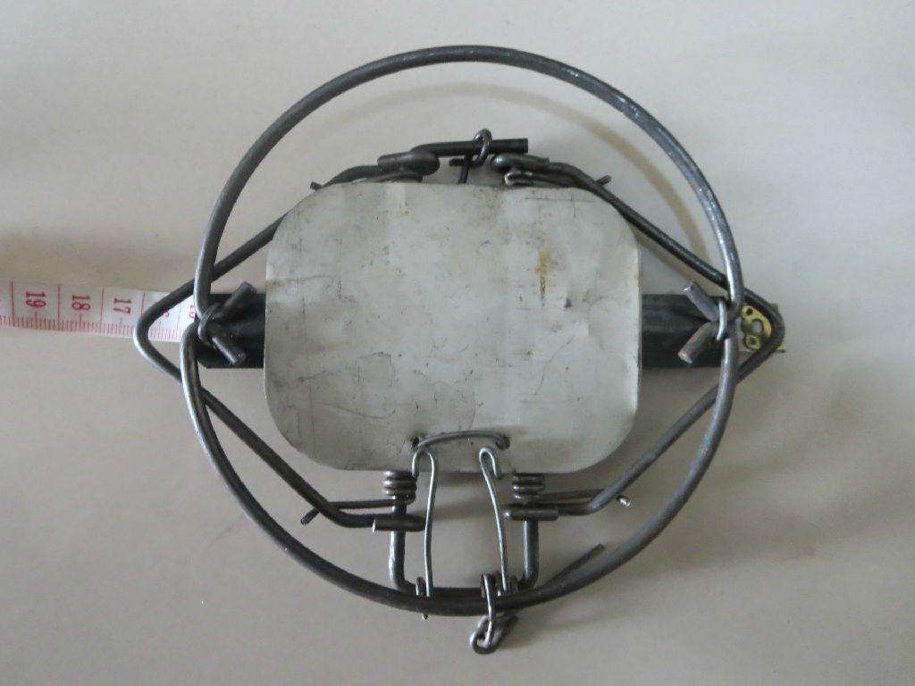 野外如何抓兔子,在野外怎么能逮到兔子