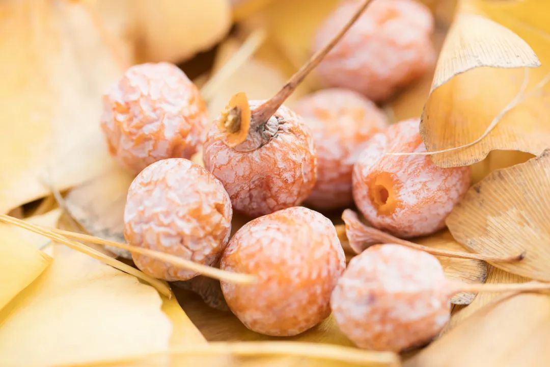 年度最佳22℃暖冬小城!全国唯一半城银杏,半城温泉!现在来刚好