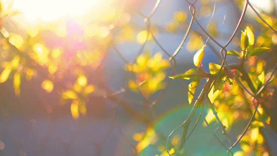 春暖花开运动好时节,春暖花开该开始运动了