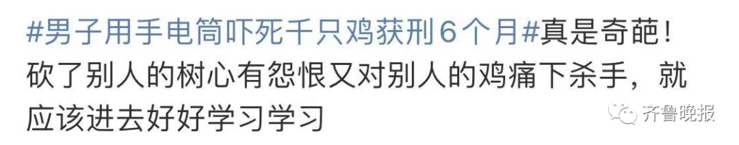 涉石家庄多个城中村、房地产项目，各区县回复|河北足球俱乐部被取消注册资格
