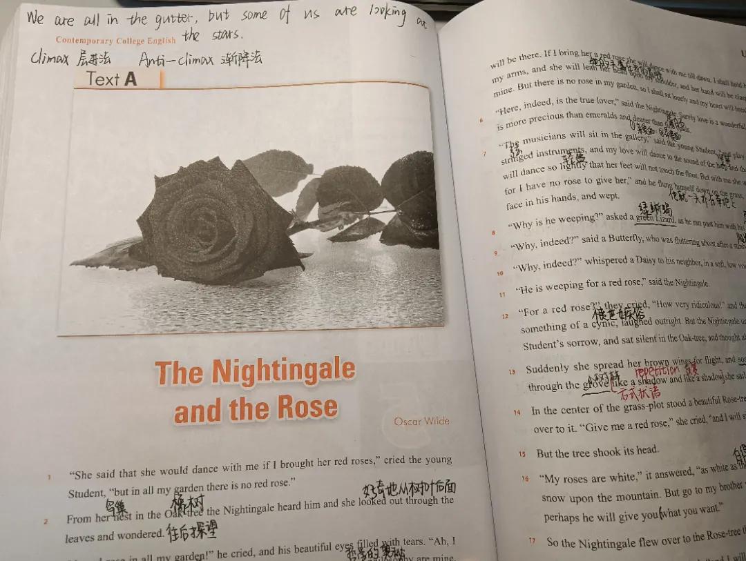 你完了你坠入爱河啦翻译,你完了你坠入爱河了图片