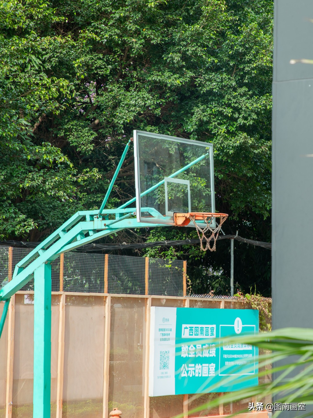 糟糕！我被图南画室的春天校园种草了！