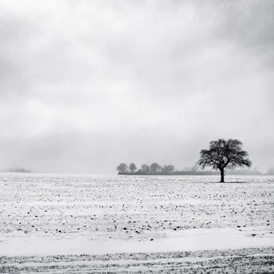 人生哲理小故事1分钟,小故事大智慧人生哲理