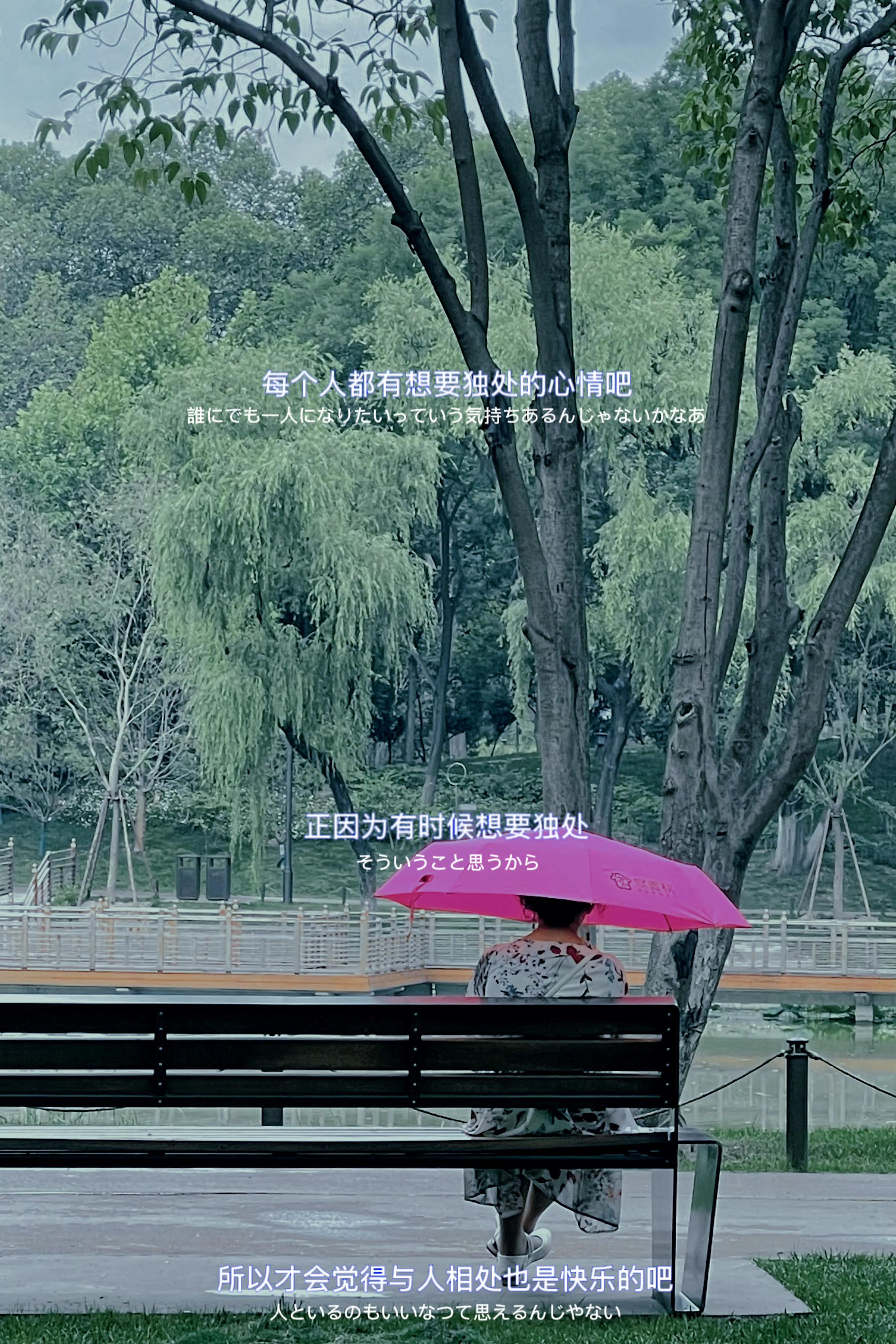 兴庆公园长乐之声合唱团直播现场,兴庆公园大合唱