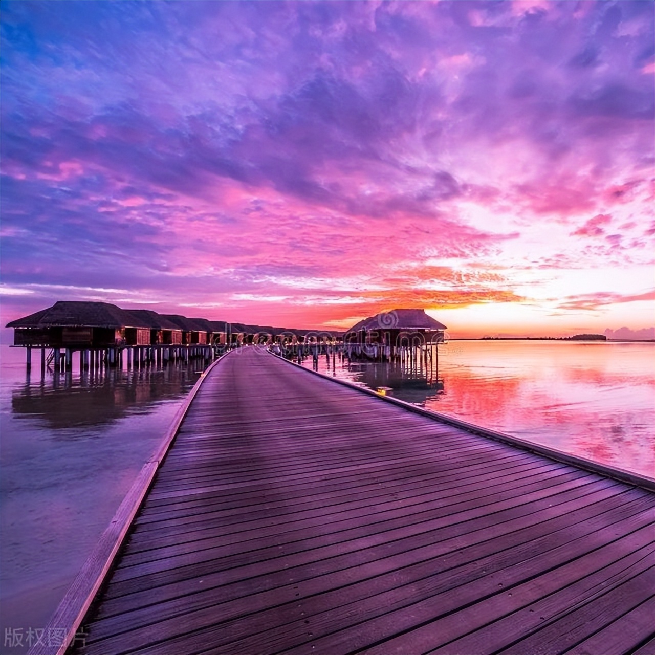 马尔代夫的中央格兰德岛点评,马尔代夫中央格兰德岛浮潜