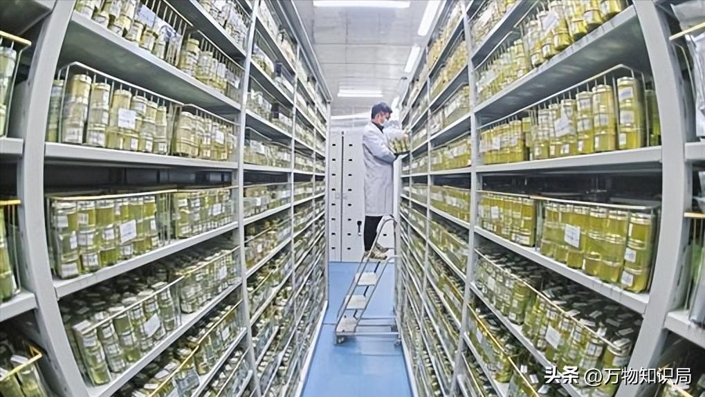 新西兰控告中国果农胜诉了吗,果农罚款