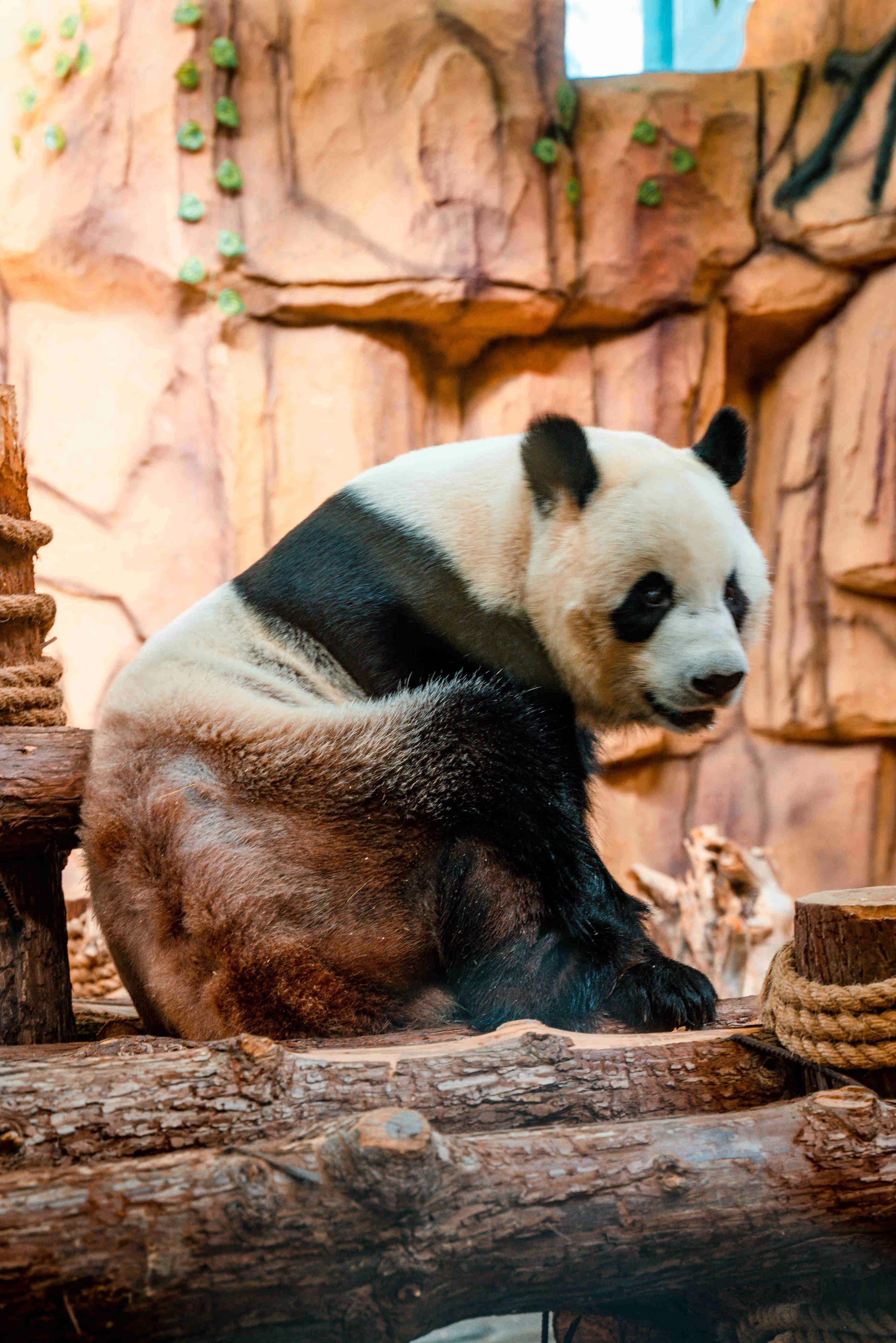 福建泉州洛江旅游攻略,泉州旅游攻略自由行最佳线路推荐