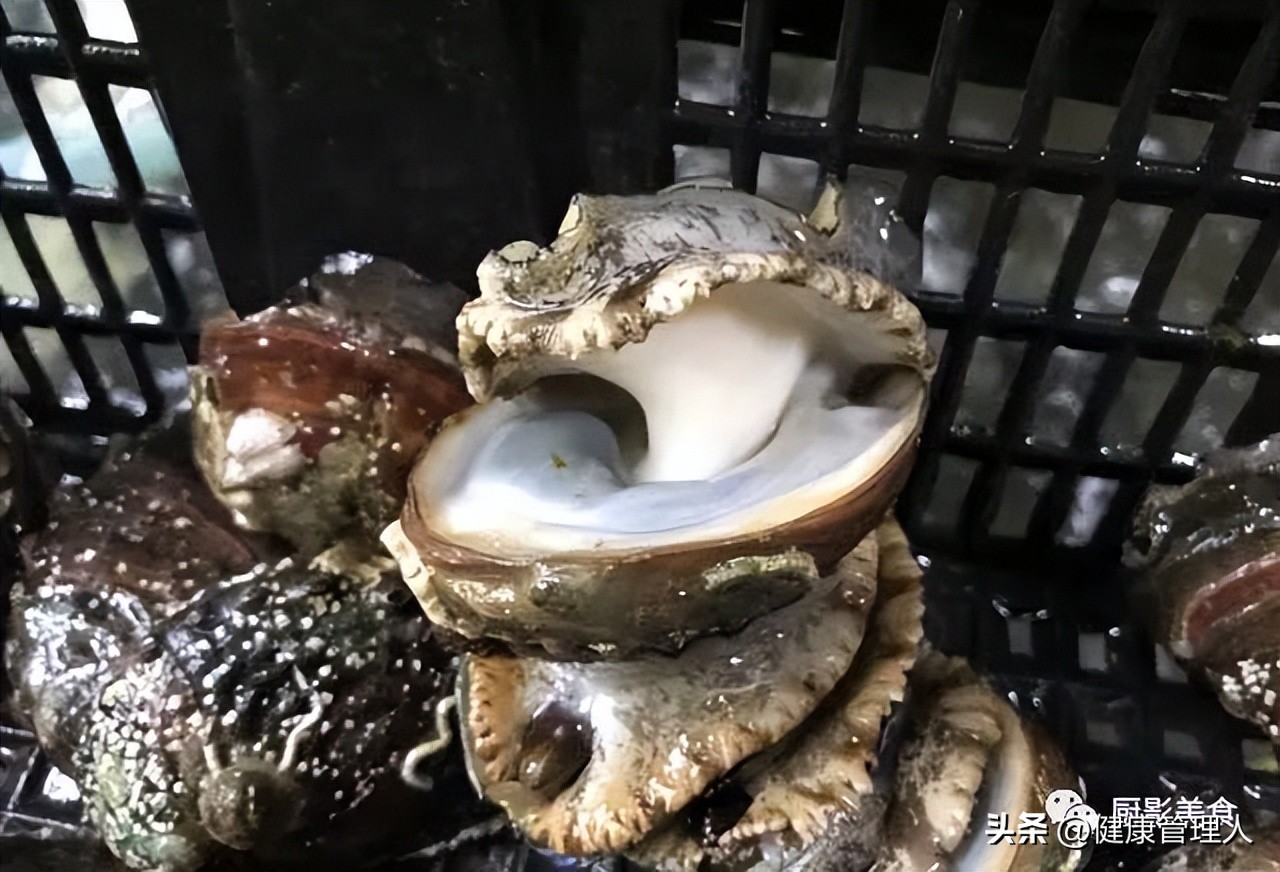 世界顶级海鲜食材,世界顶级的海鲜视频