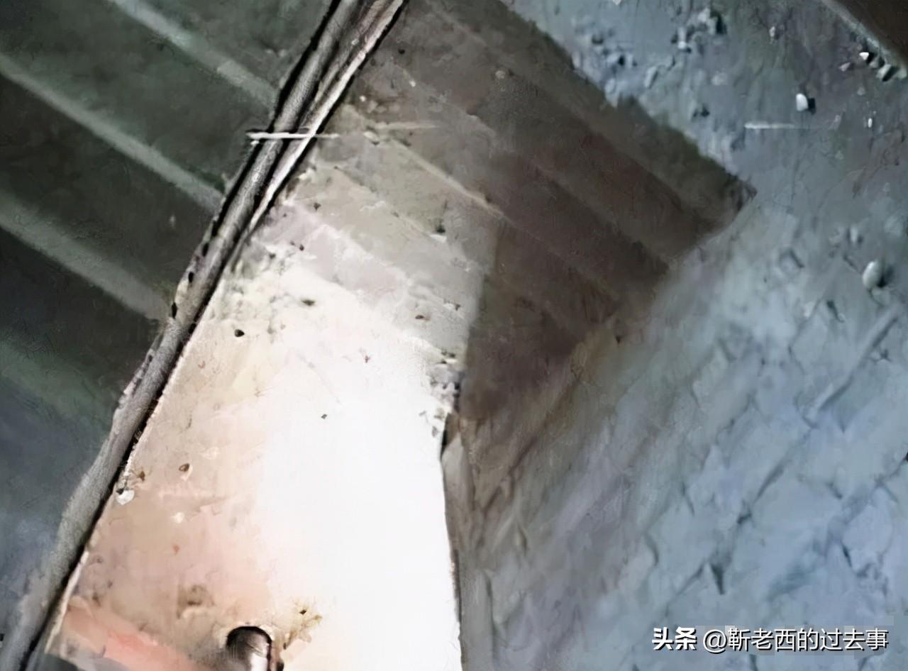 央视最美主持人离开时年仅33岁,几位去世的主播