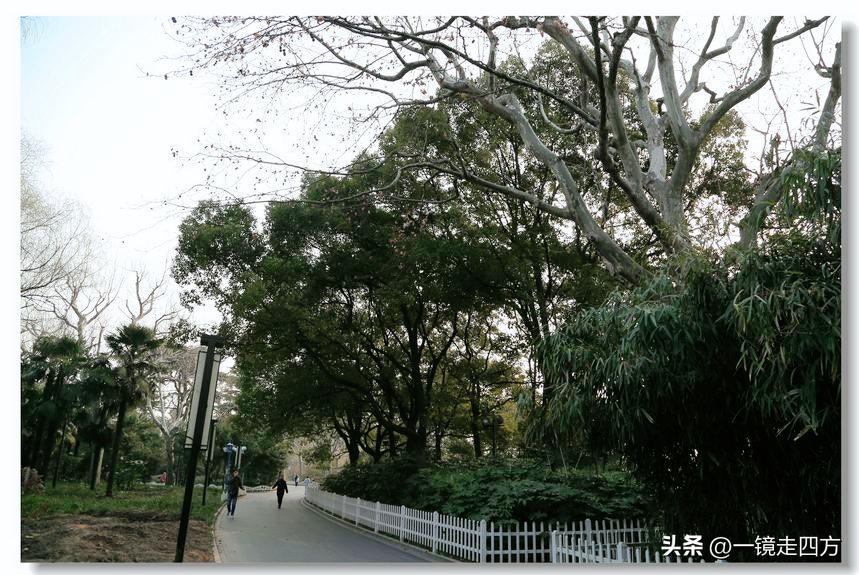 上海长风海洋公园和自然博物馆,上海长风公园占地面积