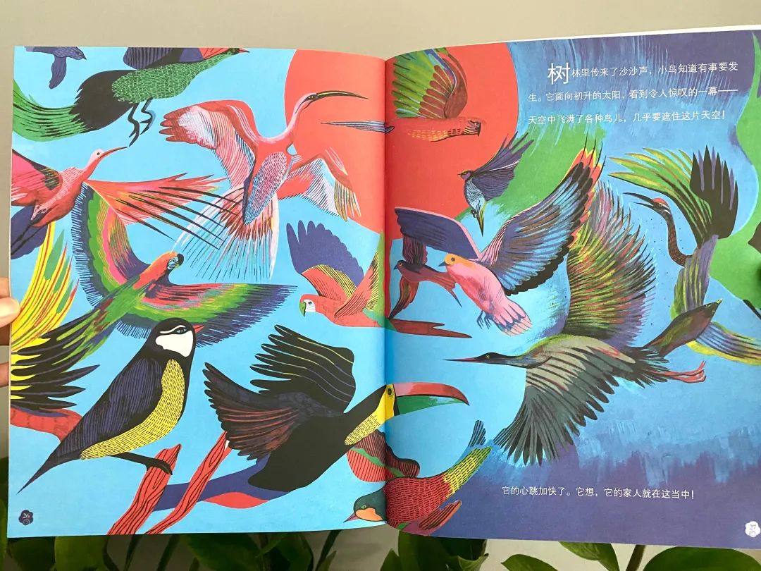 网红书推荐励志,网红推荐的书值得读吗