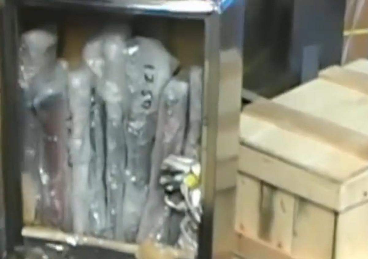 玩具枪被认定为枪支获刑14年 (网络买卖枪支案判刑)