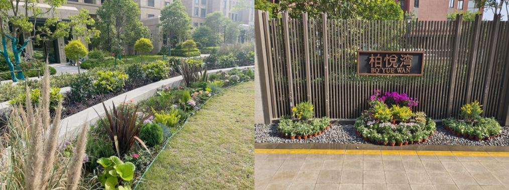 万科物业品质焕新,万科物业景观打造