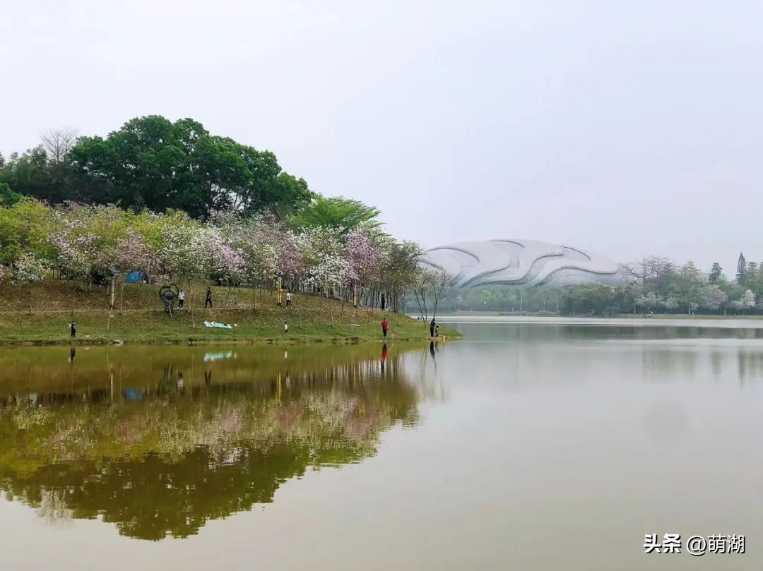 夏天去广州旅游攻略一天,广州旅游攻略一天一夜自由行