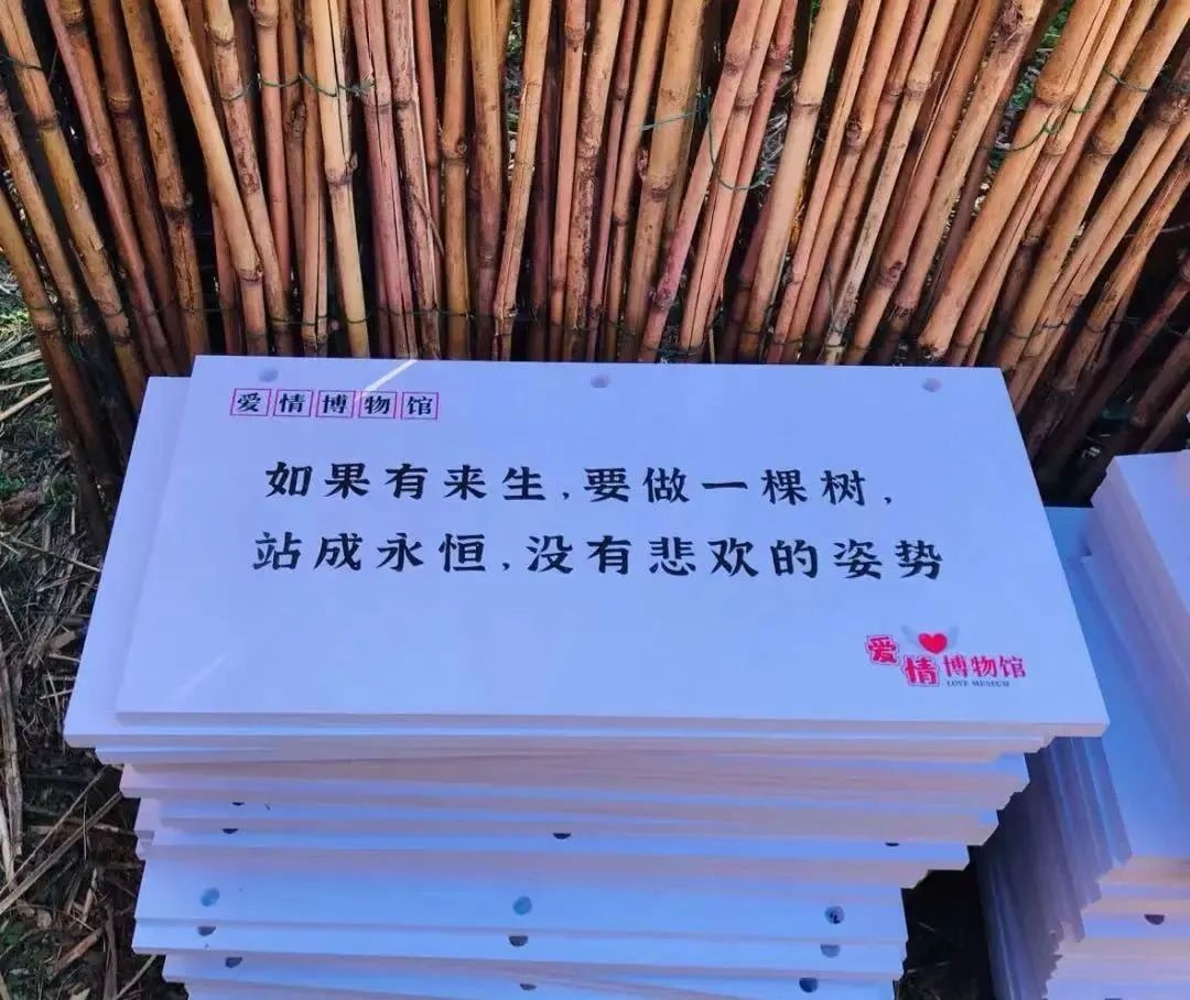 郁金香主题公园稻草人,2022年郁金香花海贵州