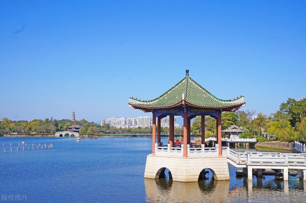 马尔代夫哪个岛可以看见海龟,马尔代夫海龟一般出现在哪里