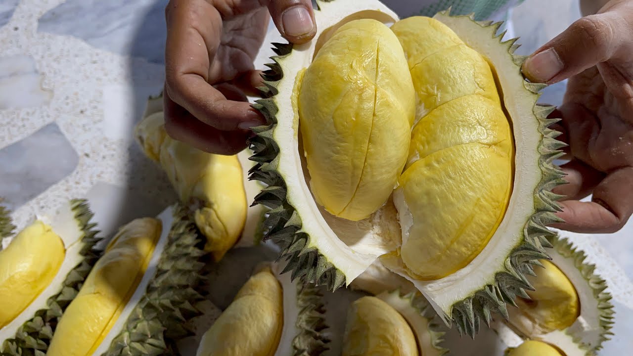 榴莲怎么挑没熟出果率高的,榴莲怎么挑不会踩雷