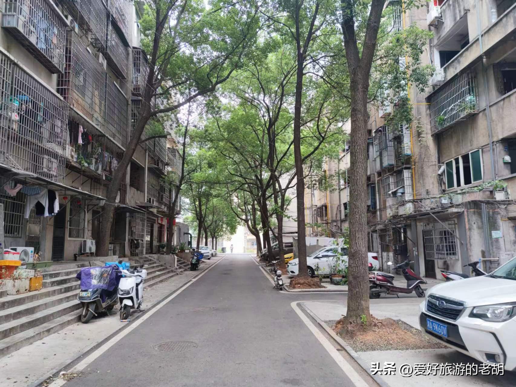 搬到长沙后破产的国企，职工家属区宛如小镇，环境依旧令人羡慕