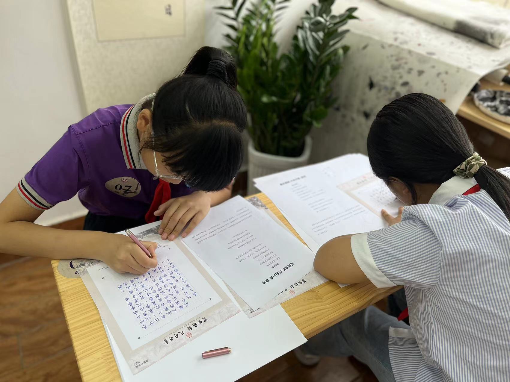 蜀风雅韵天府丹青09,蜀风雅韵天府丹青书法内容写哪些