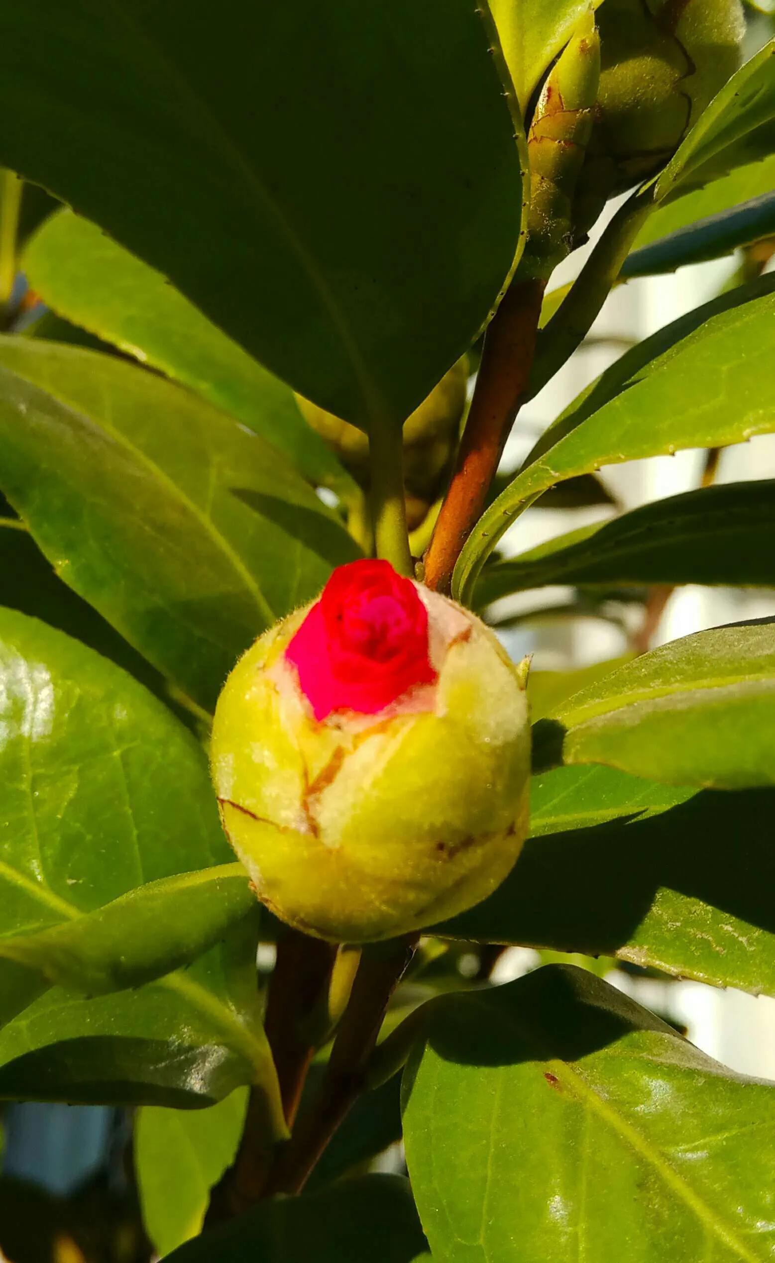 抗癌治疗日记,癌症康复心情感悟