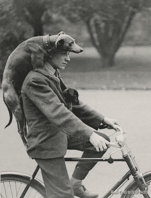 老照片晚清的小姐,晚清老照片名妓貌美如花