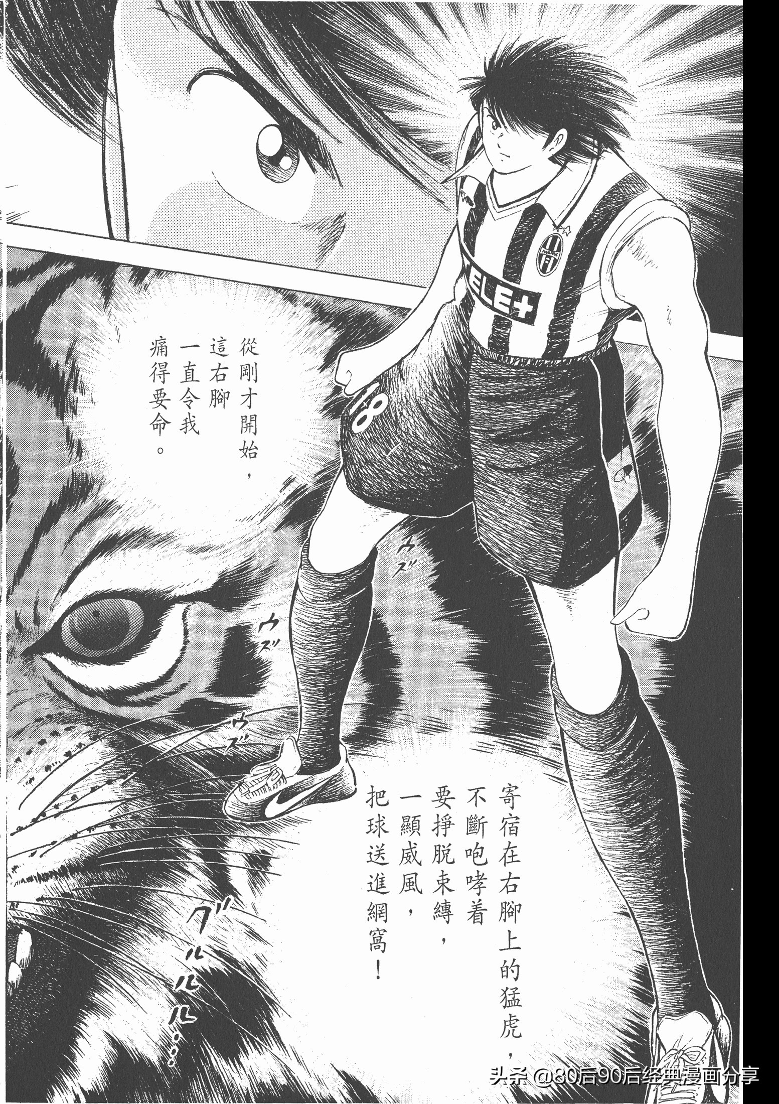 roadto2002,瓒崇悆灏忓皢road瑙ｈ