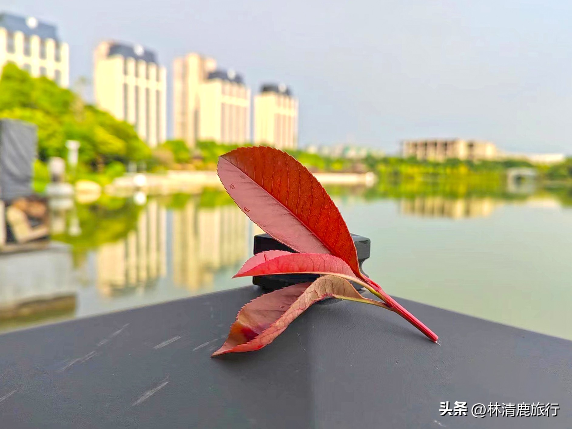 半城温泉半城湖！这座县级市冬暖夏凉，外地人坐高铁来避暑