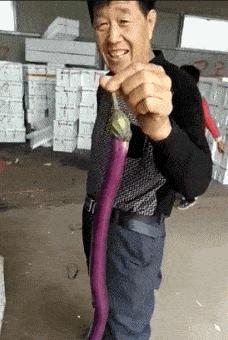 昨晚上喝多了把这个扛回了家，现在酒醒了，我该怎么办？