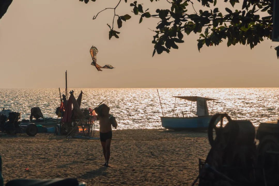 鍘绘嘲鍥芥浖璋峰拰鑺彁闆呯殑鏀荤暐,鍘绘嘲鍥界帺杞浖璋疯姯鎻愰泤