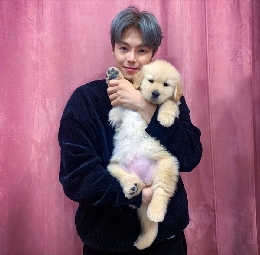 韩国明星虐猫事件,韩国虐待明星案