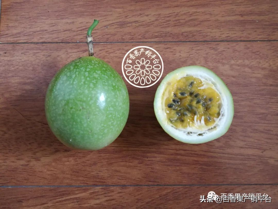 钦蜜9号百香果的藤是什么颜色,钦蜜9号黄金百香果市场分析