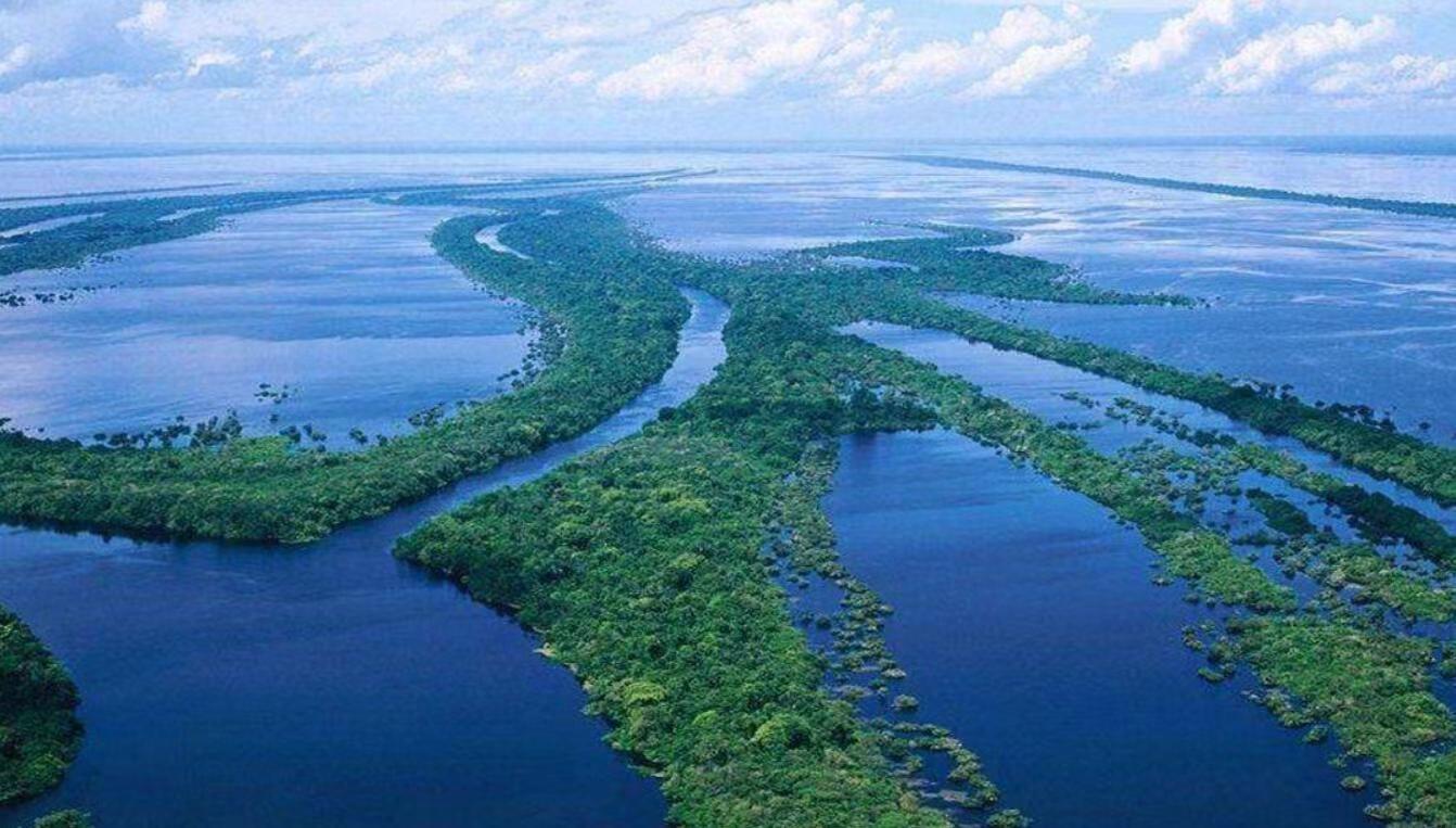 巴西占南美洲比例,巴西为啥会占南美那么大地方