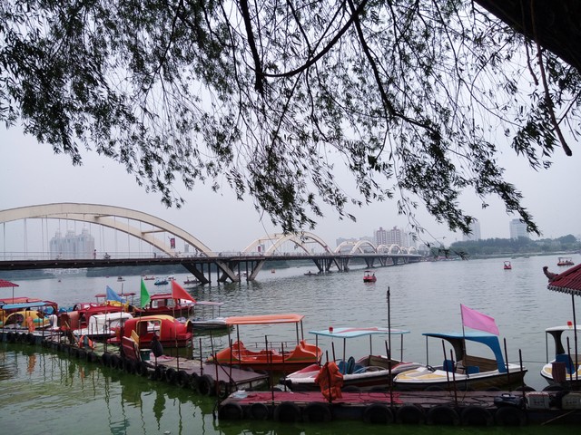 我的家乡河南省南阳市,我的家乡河南南阳淅川视频