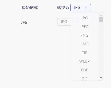 苹果手机照片jpg格式转换器,照片jpg格式转换器免费正式版