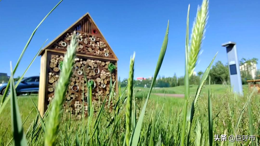 呼和浩特曾经辉煌过的地方,呼和浩特原来的地方名