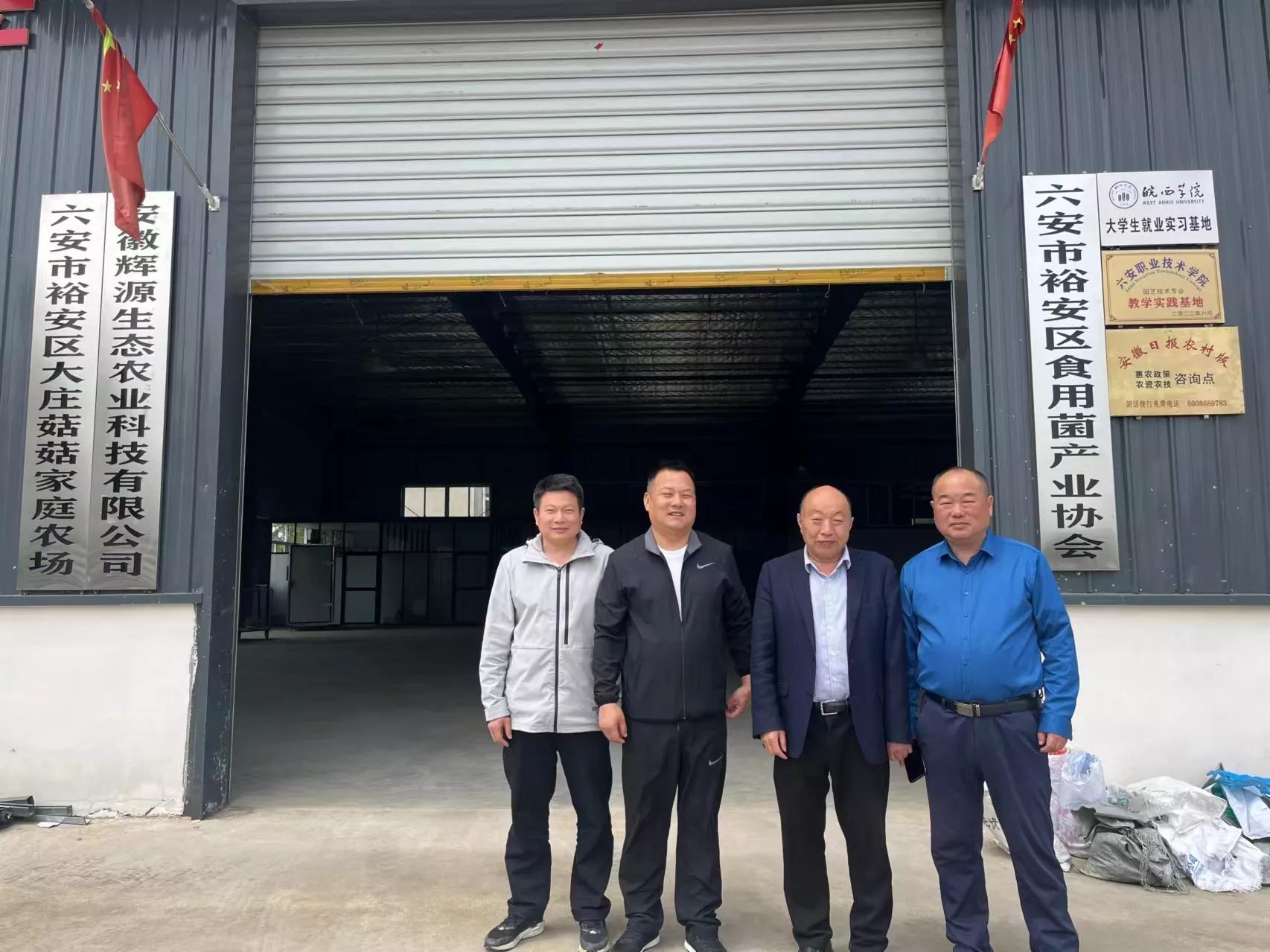 安徽种菇大王丁伦保联系电话,肥西蘑菇大王丁伦保